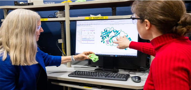 IMCA-CAT Executive Director Lisa Keefe and crystallographer Erica Duguid discuss an X-ray structure of Paxlovid taken at the IMCA-CAT beamline.