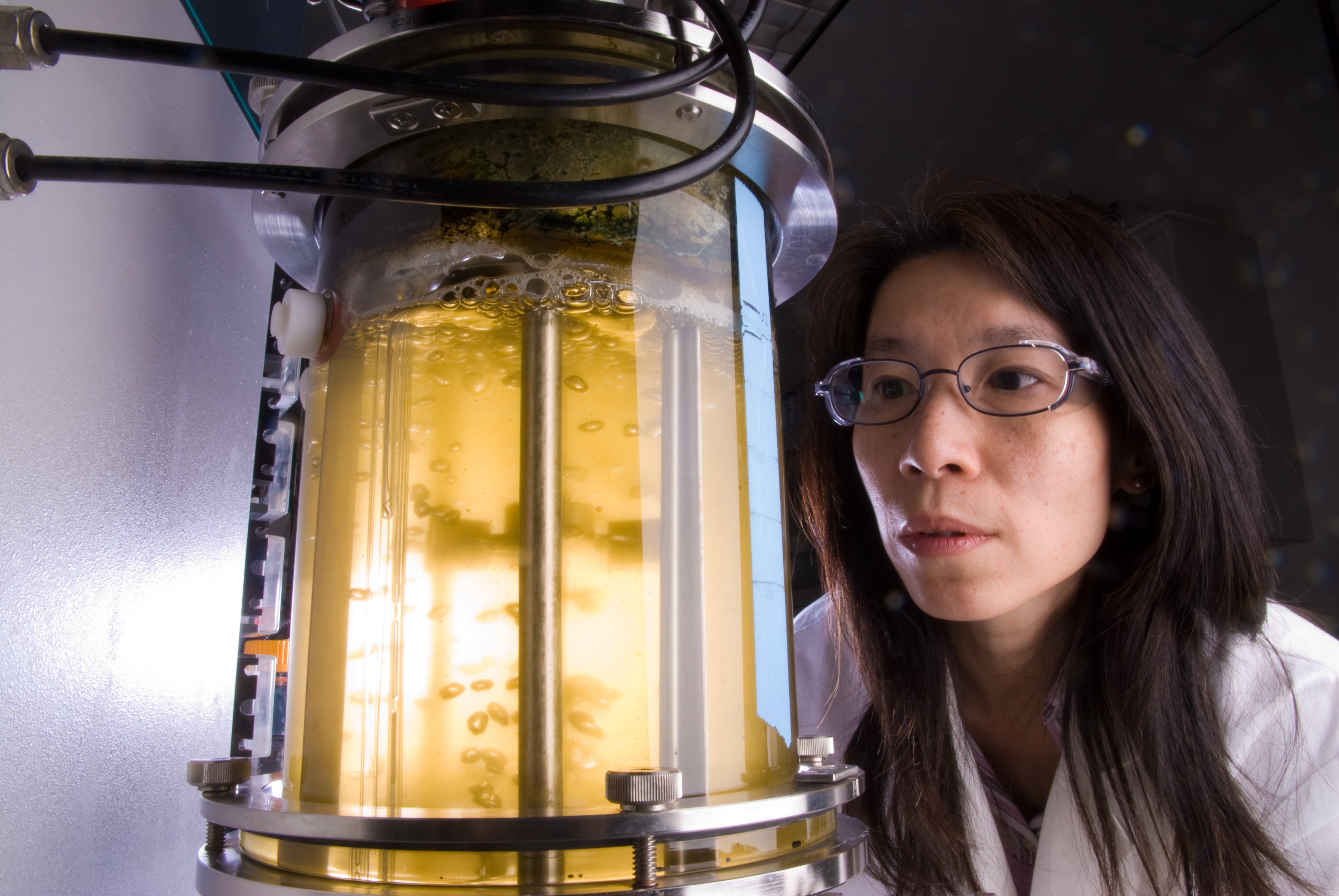 Algae Photobioreactor BioScience