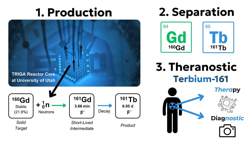 Steps in terbium-161 (Tb-161) production. The University of Utah TRIGA reactor induces thermal neutron capture on gadolinium-160 (Gd-160), which decays to Tb-161. Separating the Gd-160 target yields high-purity Tb-161 for cancer therapy and diagnosis.