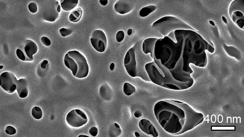 A new Argonne technique can grow material inside membrane structures, changing their chemistry without significantly affecting the pore shape. This allows scientists to improve upon membranes in various ways. (Image by Argonne National Laboratory.)