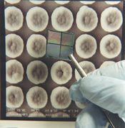 Argonne's Large-Area Ultrananocrystalline Diamond Films