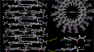 A snapshot of a helical stack of macryocycles generated in the computer simulation. 