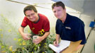 Two scientists in a lab studying plants.