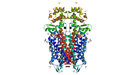 Crystal structure of the mu-opioid receptor bound to a morphinan antagon