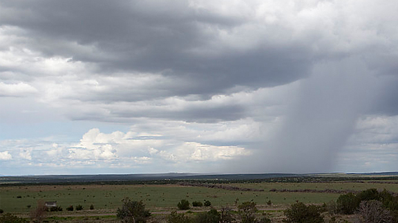 Rain clouds with visible area of downpour in the distance over a green field with shrubs in eastern New Mexico.