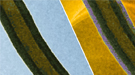 pnnl-nanowire-thumb.jpg
