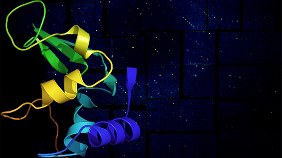 This rendering shows a lysozyme structural model against its X-ray diffraction pattern from SLAC’s Linac Coherent Light Source (LCLS), a powerful X-ray laser facility. 