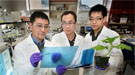 Scientists Chang-Jun (CJ) Liu, Xuebin Zhang, and Mingyue Gou