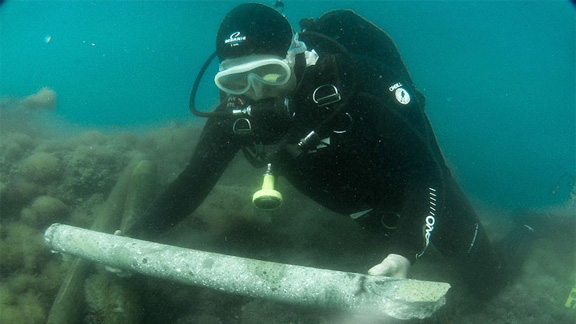 A photo of a diver in the ocean.