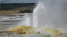 An active geyser at Yellowstone National Park.