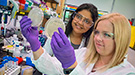 Aindrila Mukhopadhyay (left) and Heather Jensen were part of a JBEI team that identified microbial genes which can improve both the tolerance and the production of biogasoline in engineered strains of E. coli.
