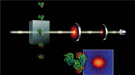 The LCLS will create 3-D images of single molecules using ultrafast pulses of very intense hard X-rays.