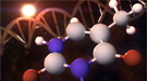 Thymine – the molecule in the foreground – is one of the four basic building blocks that make up the double helix of DNA.