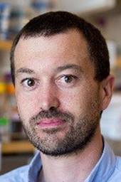 Dave Savage, assistant professor of biochemistry, biophysics, and structural biology at the University of California.