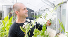 GLBRC research scientist Steve Karlen with an orchid in the Botany Greenhouse on the University of Wisconsin–Madison campus.