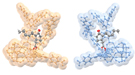 This rendering shows opposite configurations in the molecular structure of a plant hormone called jasmonic acid (gray and red) that are bound to nanostructures (gold and blue) called MOFs, or metal-organic frameworks.