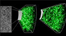 The Sloan Digital Sky Survey and its Baryon Oscillation Spectroscopic Survey has transformed a two-dimensional image of the sky (left panel) into a three-dimensional map spanning distances of billions of light years, shown here from two perspectives (middle and right panels). 