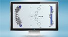 Researchers examined the spiral “twist-bend” structure (right) formed by boomerang-shaped liquid crystal molecules (left and center) measuring 3 nanometers in length.