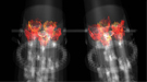 A simulation of combustion within two adjacent gas turbine combustors.