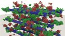 Researchers used experimental data to create a 23.7-million atom biomass model featuring cellulose (purple), lignin (brown), and enzymes (green).