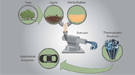 Equal parts lignin and synthetic nitrile rubber are heated, mixed and extruded to yield a superior thermoplastic for cars and other consumer products.