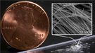 Fuzzy white clusters of nanowires on a lab bench, with a penny for scale. 