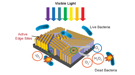 Diagram which shows light falling on the walls triggers formation of hydrogen peroxide (H2O2) and other “reactive oxygen species” that kill bacteria.