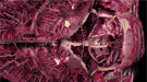 pnnl-calendar-010515-headliner.jpg