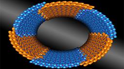 Scientists from DOE’s Lawrence Berkeley National Laboratory discovered a family of synthetic polymers that self-assemble into nanotubes with consistent diameters. 
