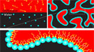 pnnl-calendar-010515-headliner.jpg