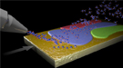 In a controlled environment, the fastest-growing orientation of graphene crystals overwhelms the others and gets "evolutionarily selected" into a single crystal, even on a polycrystalline substrate, without having to match the substrate’s orientation.