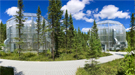Plants in the warmest of several study areas at the SPRUCE experimental site remained green and functional up to six weeks longer than plants growing at ambient temperatures.