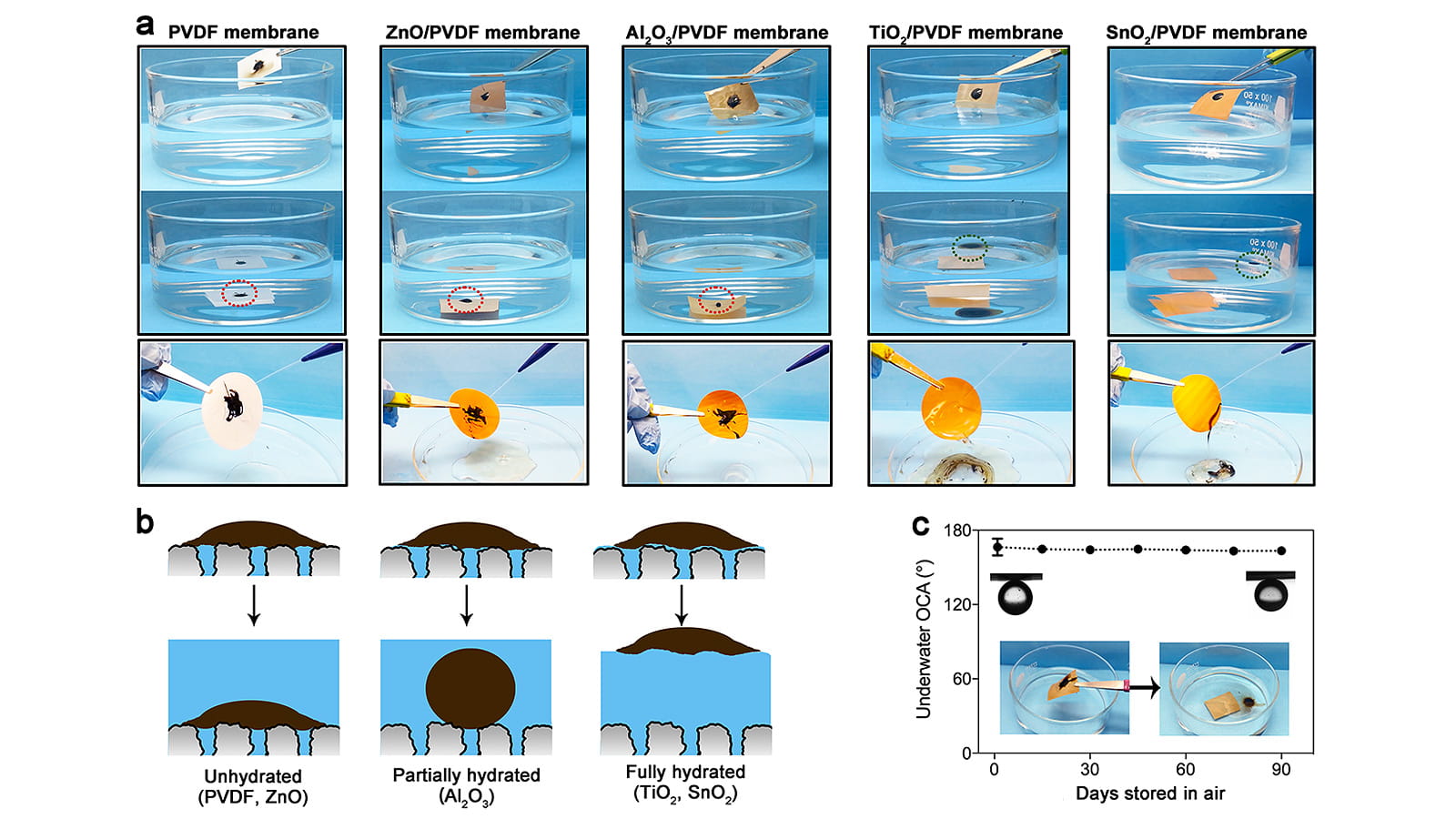This shows experiments of how well crude oil adheres to nascent and oxide-coated polyvinylidene fluoride membranes (top). It also shows how crude oil might adhere (or depart from) various surfaces (lower left) as well as the oil contact angles on tin oxide-coated membranes after long-term storage in air (lower right).