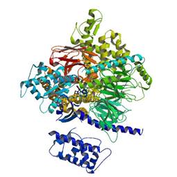 Crystal structure of the beta2 adrenergic receptor-Gs protein complex