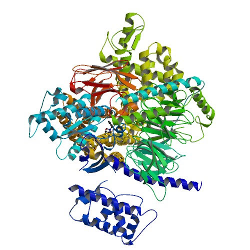 Crystal structure of the beta2 adrenergic receptor-Gs protein complex