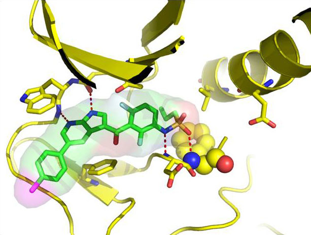 This image shows how a new anti-cancer drug prevents a mutated enzyme from promoting the growth of tumors.