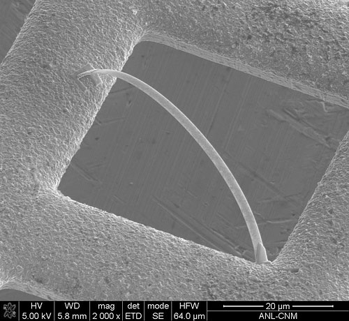 Welding of an ultrananocrystalline diamond nanobelt (width: 1.5 um, thickness: 100 nm) at the two ends on the TEM grid by using focused ion beam. 