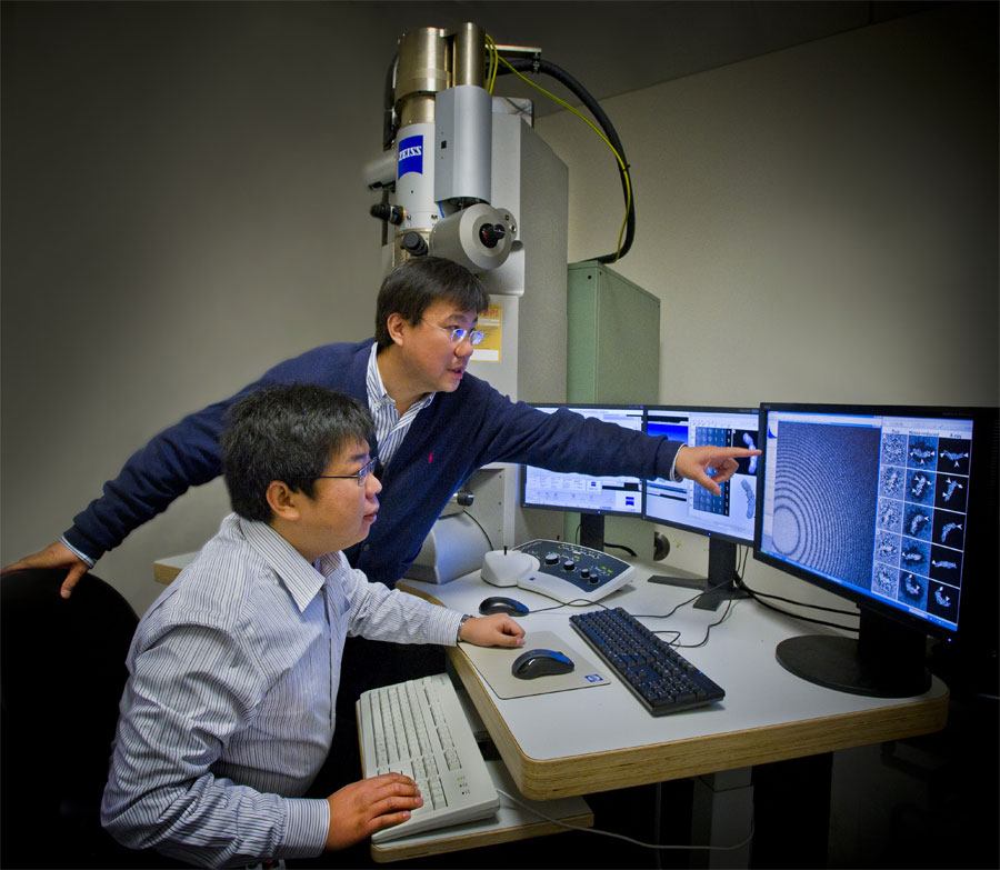 Two scientists in the lab looking at computer monitors