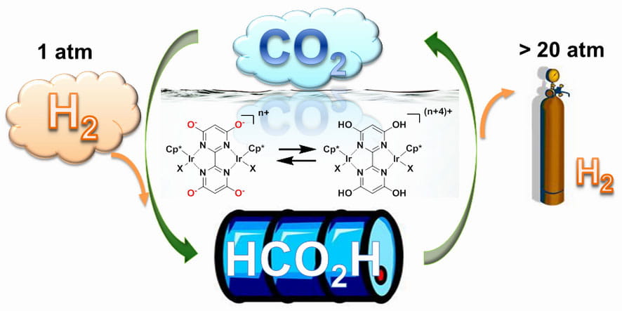 This diagram shows the new catalyst in its protonated and deprotonated states as it reversibly converts hydrogen and CO2 gas to and from liquid formate or formic acid at ambient temperature and pressure. The gases can thereby be stored and transported as a liquid, and used later in carbon-neutral energy applications, simply by adjusting the pH.