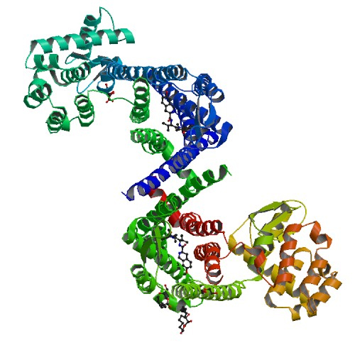 Structure of the human kappa opioid receptor in complex with JDTic 