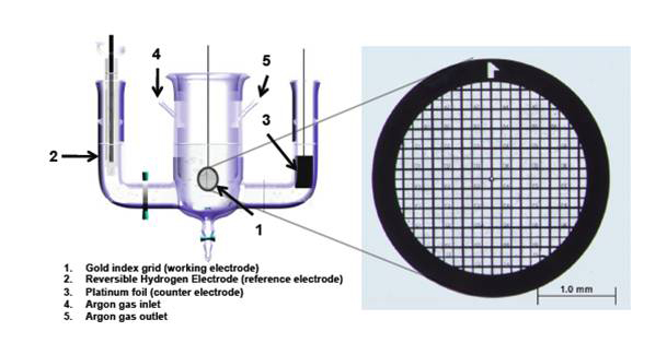 Schematic of STEM/EELS microscope set-up.