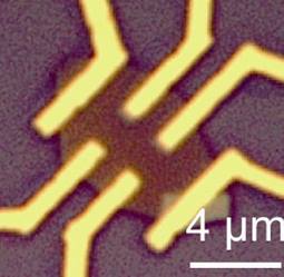 Microscopic image showing three-dimensional “gated” topological insulator device fabricated from (Bi0.50Sb0.50)2Te3 nanoplates.