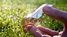 solar-cell-thumb.jpg