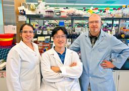 Pamela Peralta-Yahya, Taek Soon Lee, and Mario Ouellet of the DOE Joint BioEnergy Institute team that used microbes to synthesize a bio-based drop-in substitute for diesel fuel.