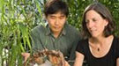 George Chuck and Sarah Hake, at the Plant Gene Expression Center, in a greenhouse, kneeling down, holding switchgrass