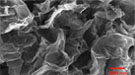 Scanning electron microscope image of sulfur graphene oxide.