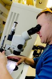 An photo of a scientist looking through a microscope