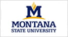 Montana State University
