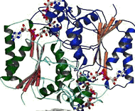 Institute for Multiscale Modeling of Biological Interactions