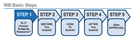 What Does the IRB Review?, Research